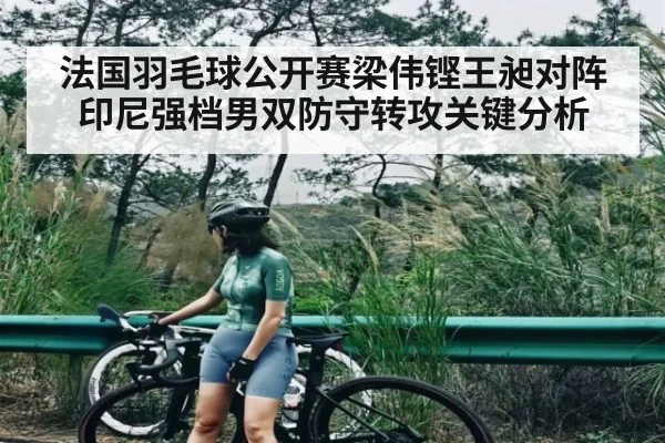 法国羽毛球公开赛梁伟铿王昶对阵印尼强档男双防守转攻关键分析